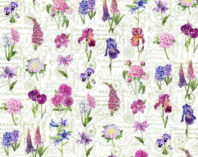 Deborah's Garden Floral & Toile Fabric // Northcott DP25592-10 by the Half Yard