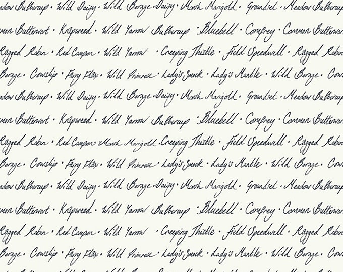 Midsummer Wildflower Script Fabric // Windham  52322-2 Linen by the Half Yard