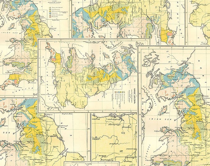 Tim Holtz Yellow Palette Map Fabric // FreeSpirit PWTH243.YELLOW by the Half Yard