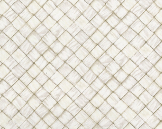 Ambrosia Farm Basket Weave Fabric // RJR Studios by the Half Yard