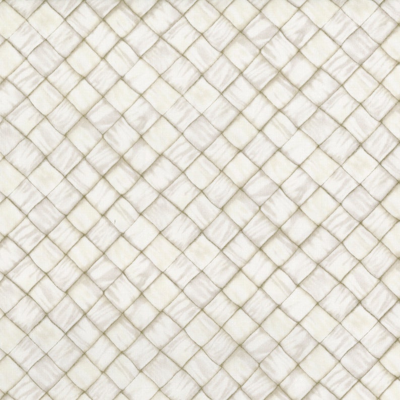 Ambrosia Farm Basket Weave Fabric RJR Studios by the Half Yard