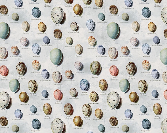 Tim Holtz Blue Palette Eggs Fabric // FreeSpirit PWTH285.BLUE by the Half Yard