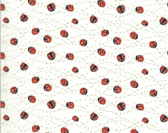 Solana Ladybug Fabric Cream // Moda Fabrics 48684 11 by the Half Yard