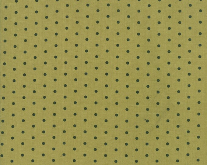 Oxford Floral Dots Fabric // Sweetwater // Moda 5713 12 by the Half Yard