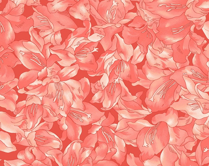Sommersville Packed Floral Fabric // Maywood Studio MAS9833-PR by the Half Yard