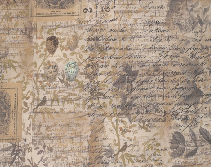 Tim Holtz Foundations Eggs & Nest Fabric // Free Spirit PWTH031.8MULT by the Half Yard