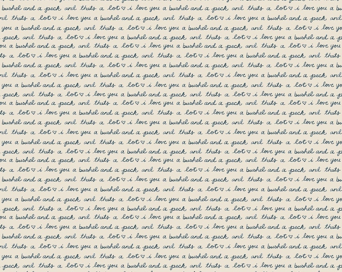 Cottage Farmhouse Fusion Small Words Fabric // Studio E 7101-47 by the Half Yard