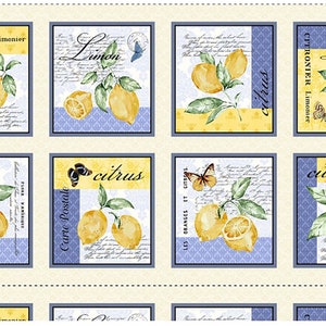 24" Limoncello Citrus Panel Fabric // Michael Miller CX9255-CITR-D