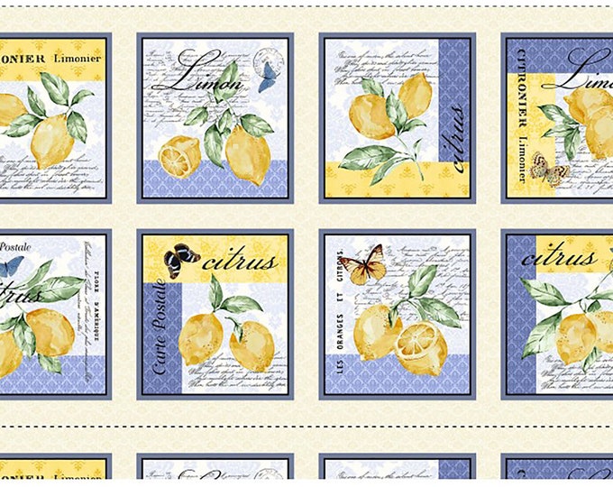 24" Limoncello Citrus Panel Fabric // Michael Miller CX9255-CITR-D