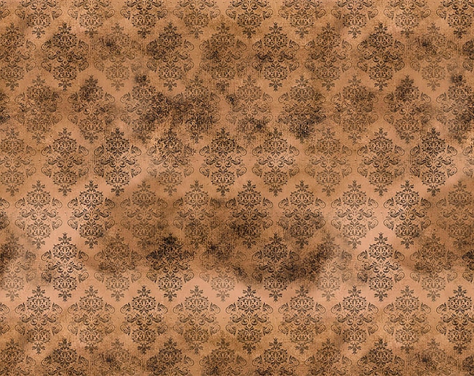 Tim Holtz Regions Beyond Spellbound Fabric // FreeSpirit PWTH148.ORANGE by the Half Yard