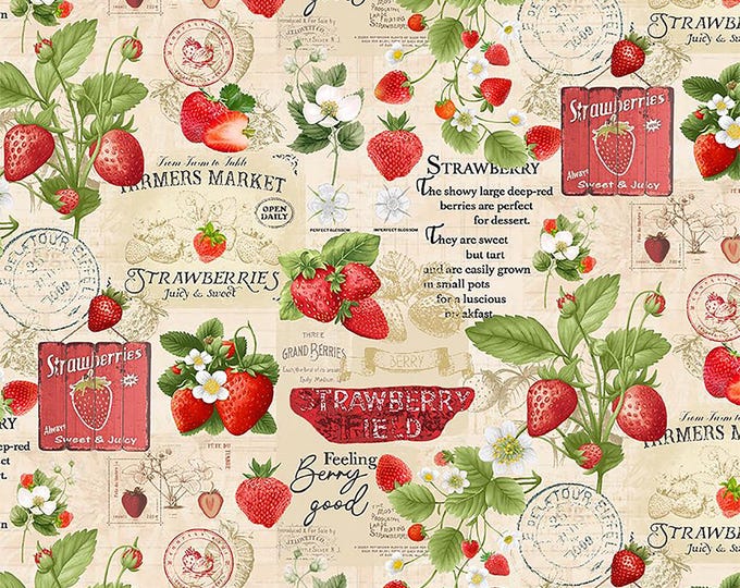 Berry Sweet Strawberries Market Collage Fabric // Timeless Treasures FRUIT-CD3400 Beige by the Half Yard