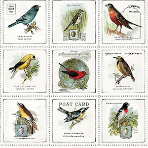 May include: A vintage sheet of 12 illustrated postcards featuring different species of North American birds. Each postcard has a bird illustration, the bird's name, and the words "Post Card" printed on it.