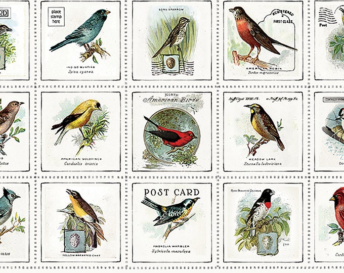 Art Journal Song Birds Patch Panel Fabric // Riley Blake Designs PD13032 by the HALF YARD