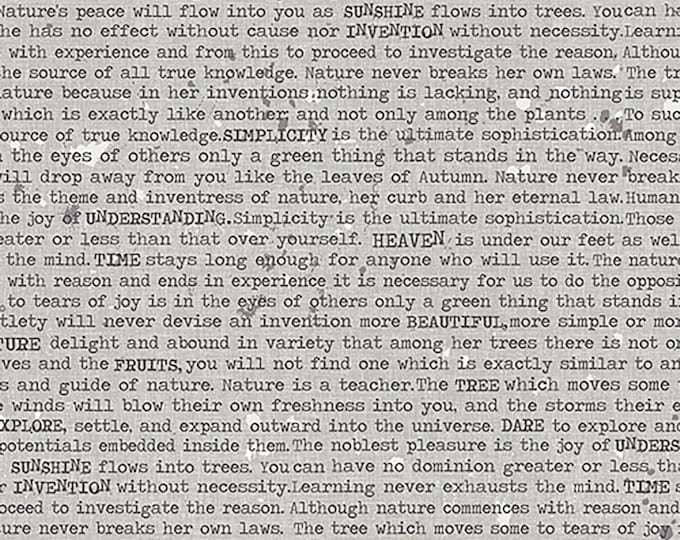 AGF Blithe Philosopher’s Dreams Fabric // Art Gallery Fabrics BLI-85601 by the Half Yard