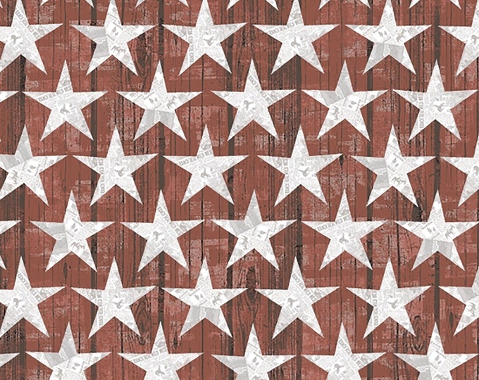 Desert Cowboy Woodplank Stars Fabric // Windham 52456D-7 by the HALF YARD