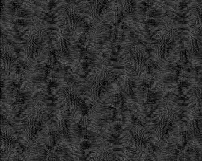 Equipoise Charcoal Texture Fabric // Paintbrush Studio 120-20040 by the Half Yard