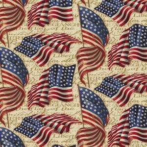 Artist Licensed We Pledge Allegiance Flag Fabric // Springs Creative 57108-D65028P by the HALF YARD
