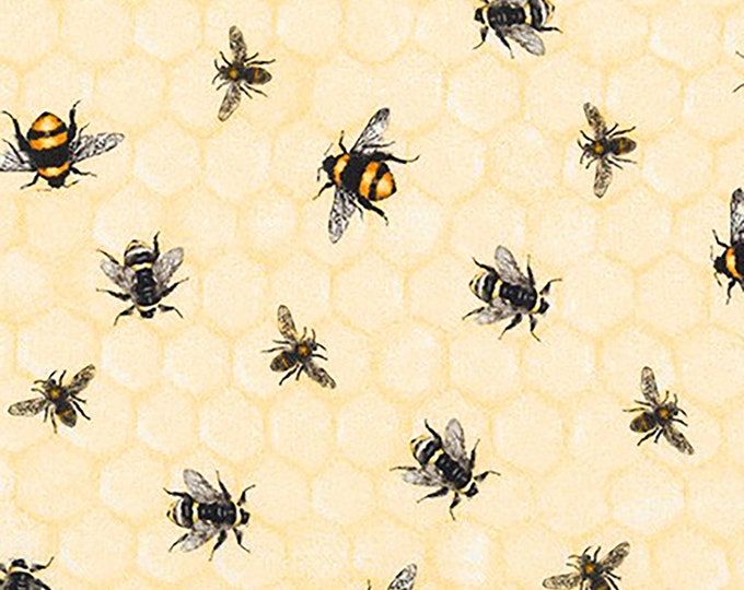 Everyday Favorites Honey Bee Fabric // Robert Kaufman AMKD 18967 138 by the Half Yard