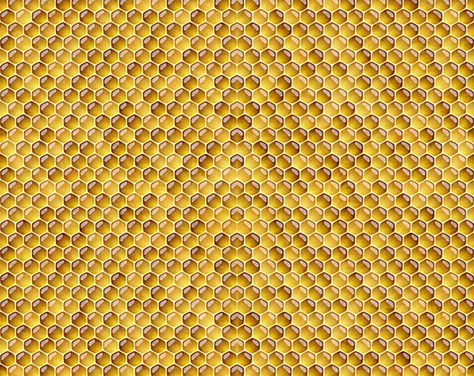Always Face the Sunshine Honeycomb Fabric // Quilting Treasures 27849-S by the HALF YARD