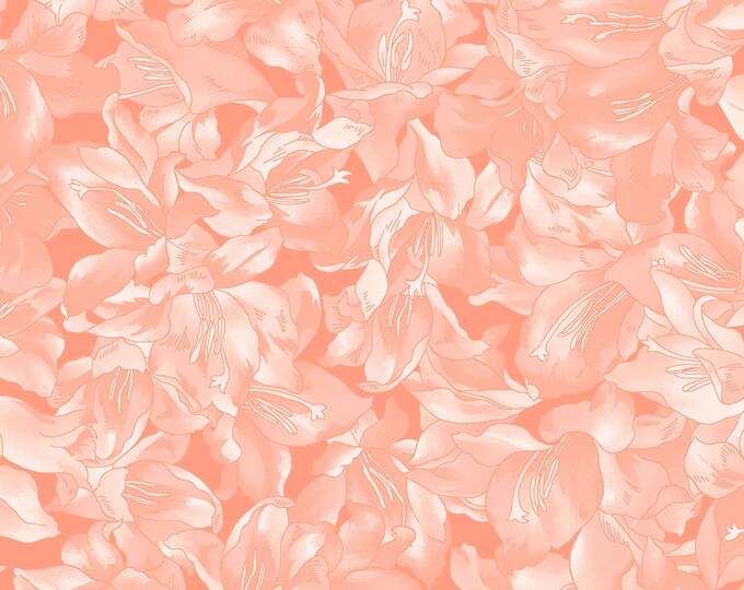 Sommersville Packed Floral Fabric // Maywood Studio MAS9833-P by the Half Yard