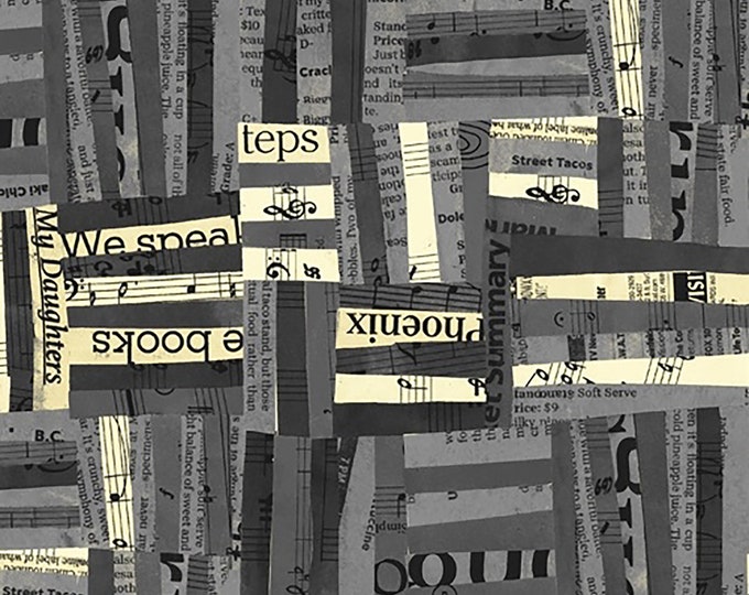 Wish Woven Text Fabric // Carrie Bloomston // Windham Fabrics 51741-2 by the Half Yard