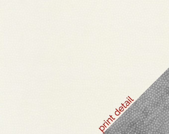 Spin Dot Basic Ivory Fabric // Timeless Treasures C5300 by the Half Yard