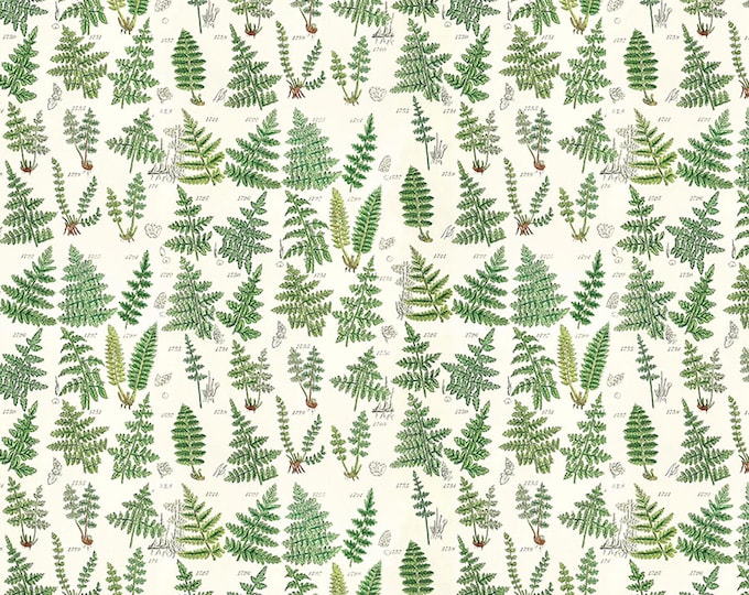 Tim Holtz Green Palette Ferns Fabric // FreeSpirit PWTH265.GREEN by the Half Yard