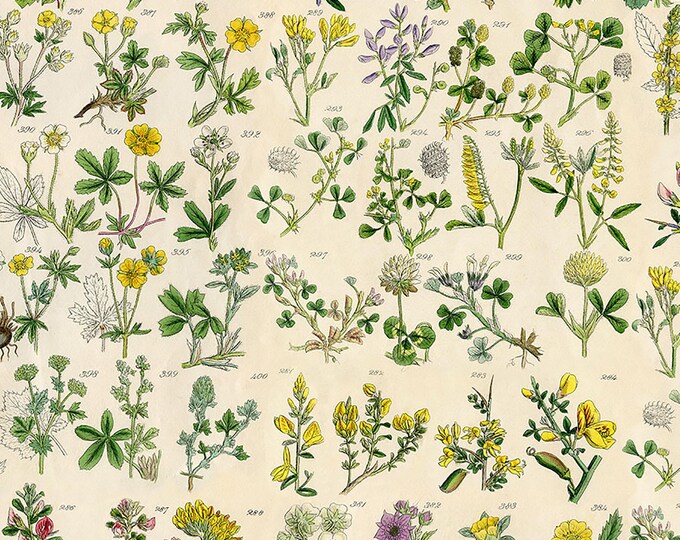 Tim Holtz Yellow Palette Botanical Fabric // FreeSpirit PWTH245.Yellow by the Half Yard