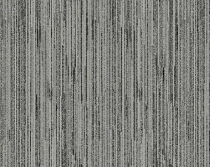 Light Camera Action Texture Fabric // Windham 42856-5 by the Half Yard