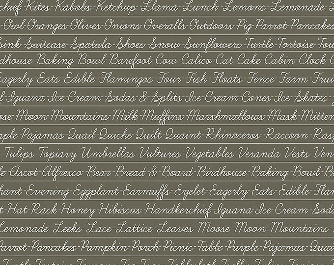 Hungry Animal Alphabet Penmanship Fabric // Riley Blake C10185-Charcoal by the Half Yard