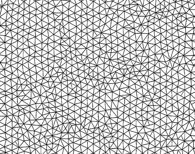 BIANCO E NERO Web Fabric // Quilting Treasures 29648-Z by the Half Yard