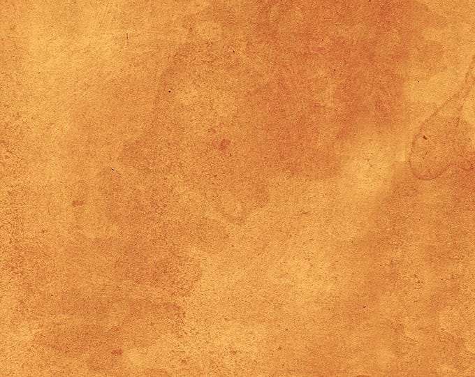 Tim Holtz Orange Palette Vintage Fabric // FreeSpirit PWTH239.ORANGE by the Half Yard