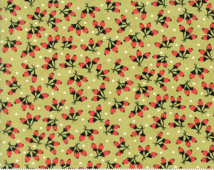 Chestnut Street Cotton Puffs Fabric // Fig Tree // Moda Fabrics 20275 16 by the Half Yard
