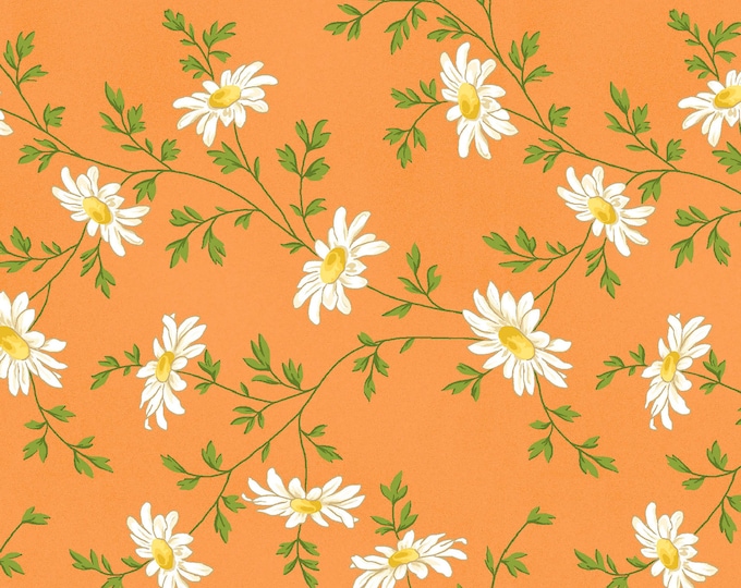 Fresh as a Daisy Miniature Daisies Fabric // Maywood Studio MAS9644-O by the Half Yard