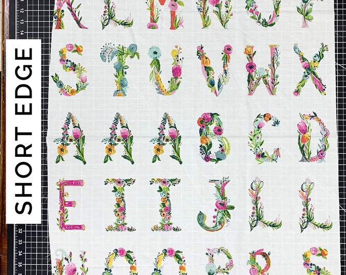 REMNANT 18" Joie de Vivre Joyeux Partial Alphabet Panel by Bari J. for Art Gallery Fabrics JOI-79129