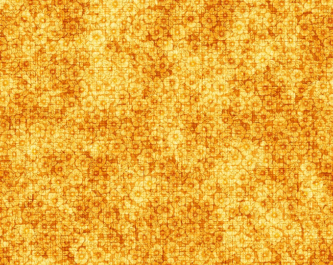 Prairie Dreams Floral Blender Fabric // Quilting Treasures 29118-S by the Half Yard