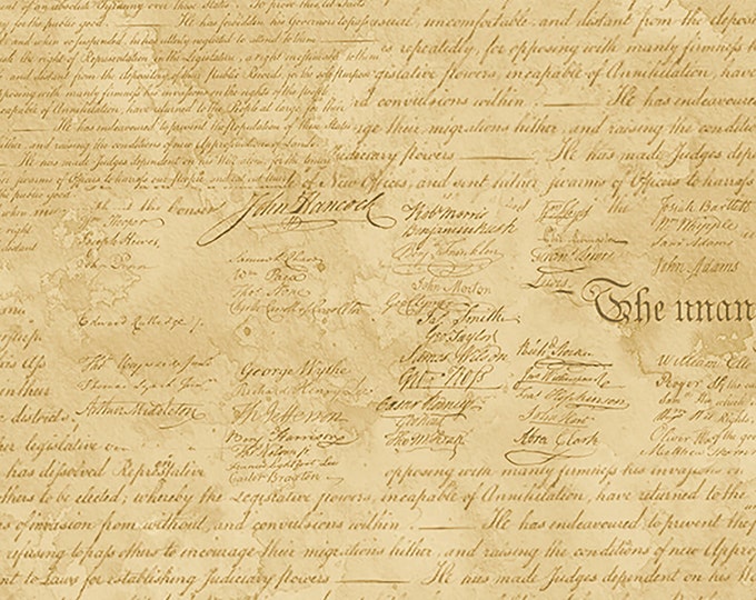 Colors of Courage Declaration All Over Fabric // Wilmington 3056 50010 222 by the HALF YARD