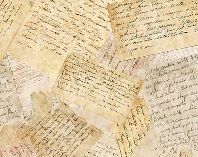 Sizzle & Spice Recipe Fabric // Quilting Treasures 30001-E by the Half Yard