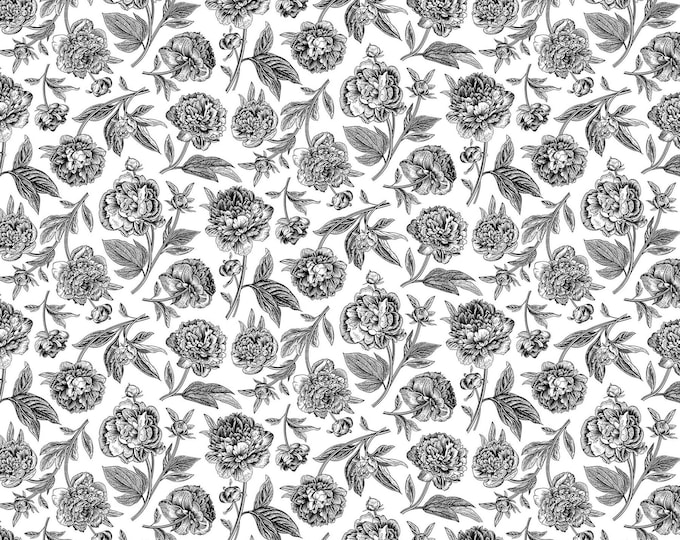 Bloom Toile Floral Fabric // by the HALF YARD // Northcott Studio 25197-10
