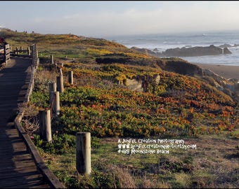 MOONSTONE BEACH - Cambria, Kalifornien 8x10 Fotografie