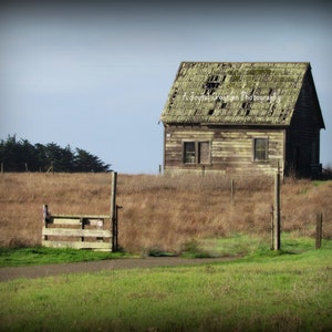 OLD SHACK - Ft Bragg, Mendocino California