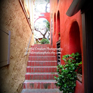 CARMEL - California   16x20 photograph