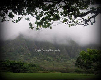 OAHU HAWAII