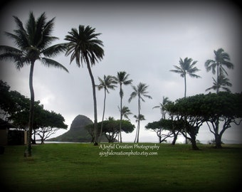 CHINAMAN'S HAT ISLAND - Oahu, Hawaii