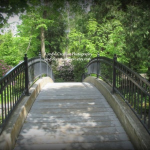 LITHIA PARK - Ashland, Oregon  5x7 photograph