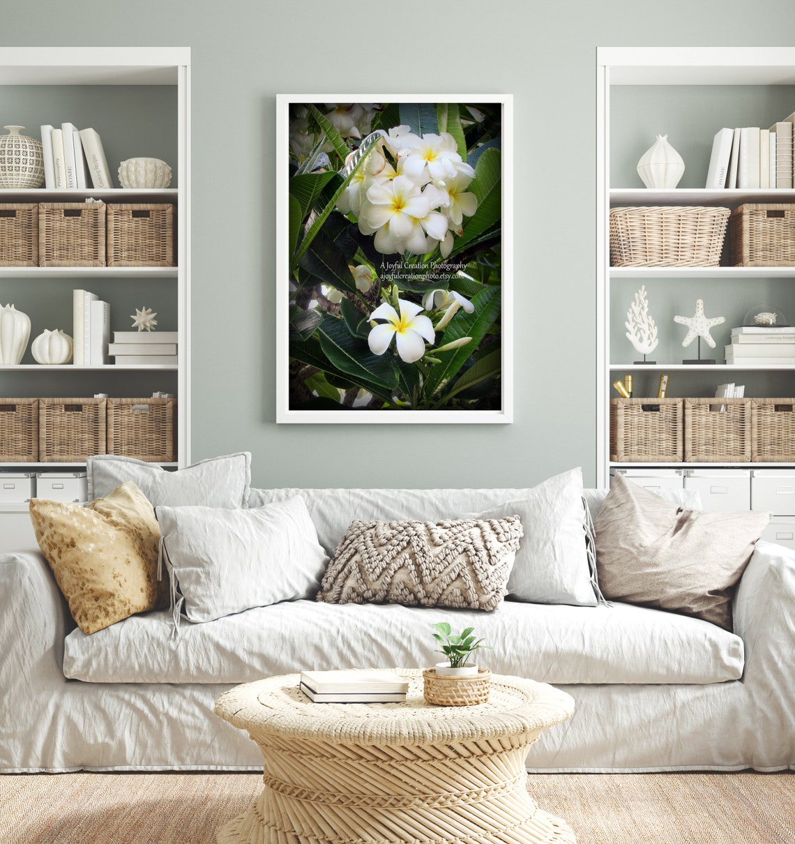 Plumeria Flowers White Flower Oahu Hawaii Turtle Bay Photograph White