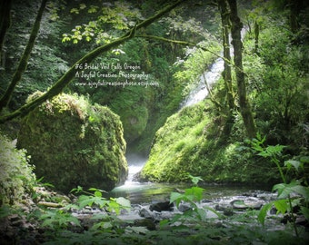 May include: A lush green forest scene with a waterfall cascading down a mossy rock face. The water flows into a small stream in the foreground, surrounded by vibrant green foliage. The text "#6 Bridal Veil Falls Oregon A Joyful Creation Photography www.ajoyfulcreationphoto.etsy.com" is visible in the upper center of the image.