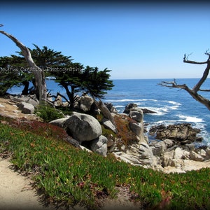 CARMEL, MONTEREY - Pescadero Point - 17 Mile Drive, California