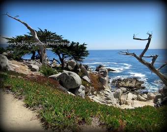 CARMEL, MONTEREY - Pescadero Point - 17 Mile Drive, California