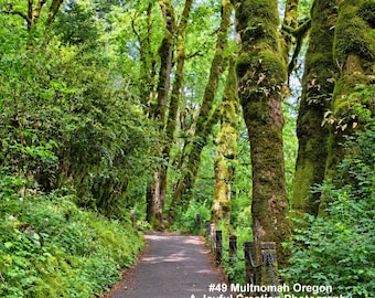 May include: A paved path winds through a lush forest with tall, moss-covered trees and dense green foliage. A low stone and chain fence lines the right side. Text on the image reads #49 Multnomah Oregon A Joyful Creation Photography.